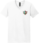 Delaware Ducks Softstyle V-Neck T-Shirt