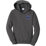 Carolina Thunder Youth Fan Favorite Fleece Pullover Hooded Sweatshirt